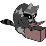 Racoon deschidere cutie vector ilustrare în culoare
