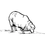羊の放牧ベクトル クリップ アート