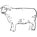 线艺术图形的羊