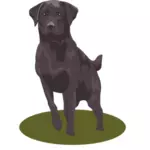 काले लैब कुत्ता वेक्टर छवि