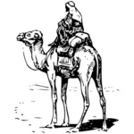 Vektor-Bild ein Kamel Fahrer