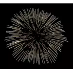 Fireworks vector image