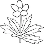 एनेमोन केनाडेन्सिस फूल बाह्यरेखा वेक्टर छवि