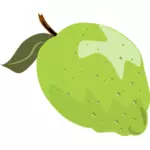Lime vector illustration with leaf