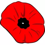 Remembrance Day poppy vector image