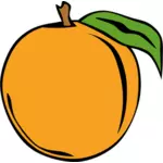 Persika frukt vektor ClipArt
