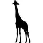 Black giraffe vector image