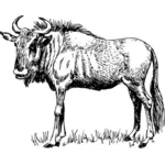 Imagem de GNU