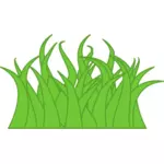 Vector graphics of multicolor grass