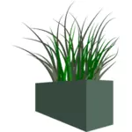 Gras in vierkante planter
