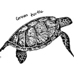 Vihreä kilpikonnakuva