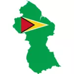 Guyanas flagg