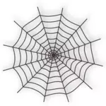 Vektör çizim örümcek ağı