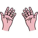 Vector image of open your palms
