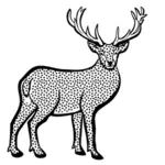 Deer from coloring book