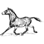 Running stallion image