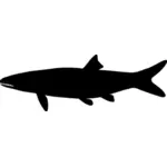 Imagem de silhueta de tubarão