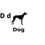 D för hund