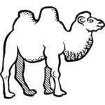 Рисование верблюда с пятнистым горло линии искусства