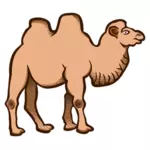 Мультфильм векторное изображение верблюда