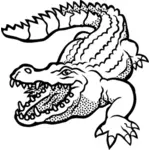 Desenho do traçado irregular crocodilo vetorial