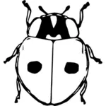 Lady kumbang