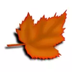 Orange fall leaf vector image