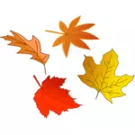 Осенние листья выбор векторное изображение