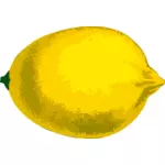 Zitronen-Frucht