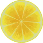 Gelben Zitrusfrüchte slice