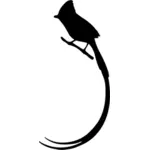 長い尾を持つ鳥シルエット
