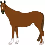 Illustration vectorielle de standing cheval brun