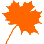 Maple leaf vector imagine