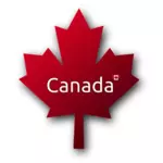 Symbole de feuille d'érable canadienne