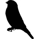 Imaginea vectorială Sticlete pasăre pe o Creangă