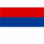 Misionesin maakunnan lippu