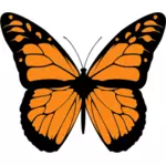 Vector de la imagen de una mariposa naranja con toda la extensión de las alas
