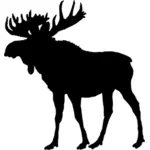 Moose siluet