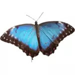 Illustration de papillon bleu