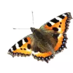 Ícone de borboleta colorida
