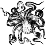 Chobotnice, kresba