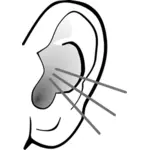 ग्रेस्केल सुनने के कान के सदिश ग्राफिक्स