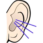 Vektorový obrázek barvu naslouchající ucho