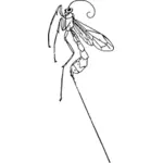 Ichneumon fly