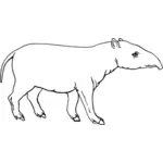 Conturate tapir