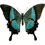 Sininen perhossymboli