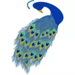 Grafik av blå påfågel svans och huvud