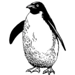 Penguin drawing