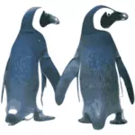 Image vectorielle de pingouins