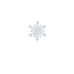 Snowflake vector icon